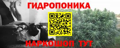 молекула духа Железноводск