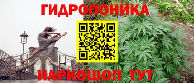 спайс Ефремов